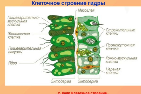 Актуальные ссылки на кракен тор