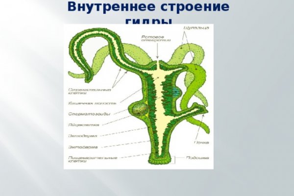 Кракен тор текст