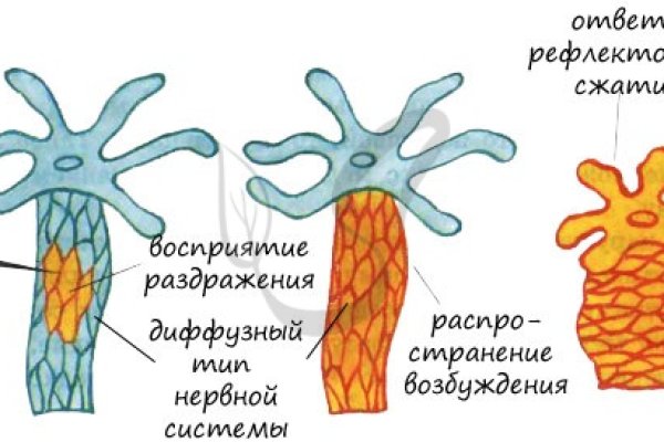 Найти ссылку кракен